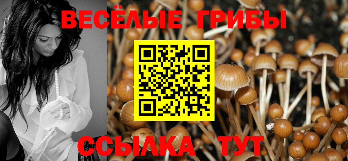 Свободный  Галлюциногенные грибы GOLDEN TEACHER  где можно купить   Вход с VPN 